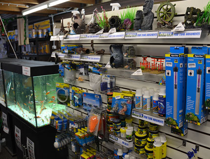 Fish Care Supplies